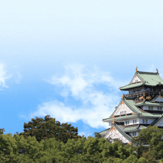 Sidebar – HLD Private Trip