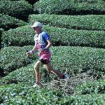 Dokumenter Menarik tentang Jo Lodder: Perjalanan 59 Balapan dari Mantan Jockey ke Layar Lebar!