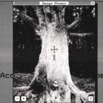 Game Misteri Seharga $5 yang Bakal Bikin Kamu Terpikat Selama 2 Jam: Eksplorasi Kota Kecil dan Pohon Aneh yang Besar!