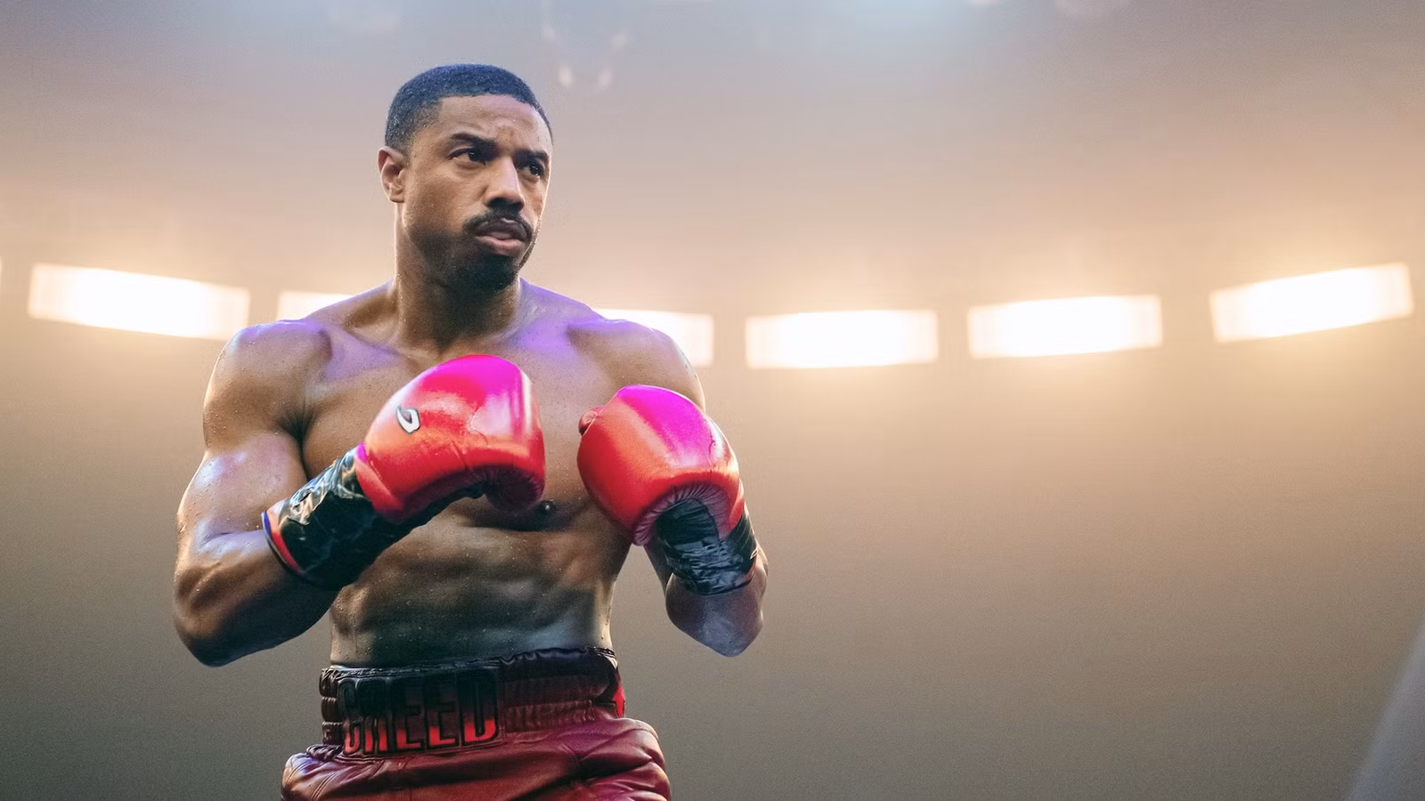 Michael B. Jordan Umumkan Tanggal Mulai Syuting Spin-off Creed yang Ditunggu-tunggu!