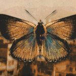 3 Buku Fantasi Tak Terbayangkan Ini yang Susah Banget diadaptasi Menjadi Film!