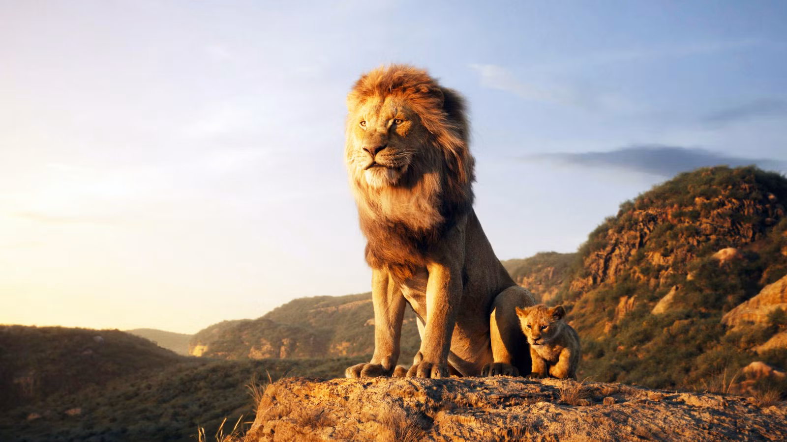 Serial Baru Jon Favreau: 'Lion' Siap Meluncur di Hulu Bulan Depan, Setelah Sukses Besar Film Remake 'Lion King' Seharga $1,6 Miliar!