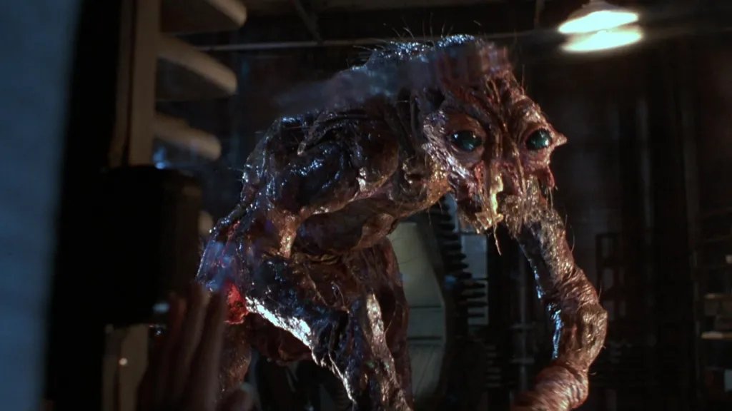 The Fly