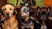 Warner Bros. Ciptakan Podcast Anjing AI untuk Angkat 'The End of Oak Street' ke Level Selanjutnya!