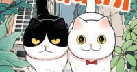 Manga Cat Companions Maruru dan Hachi Kembali Beraksi Setelah Hiatus!
