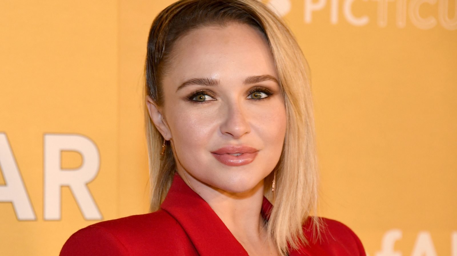 Jangan Lewatkan! Penyebab Kematian Hayden Panettiere Terungkap!