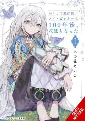 And Thus, the Wizard Noi Garené Became a Bride 100 Years Later novel cover