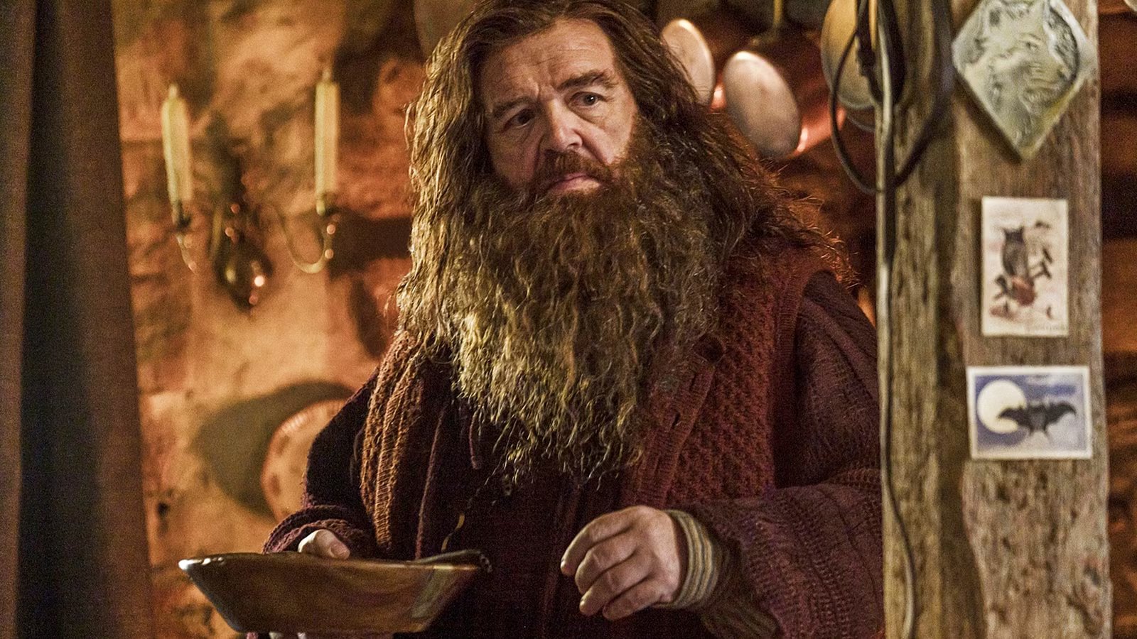 HBO's Harry Potter dan Hagrid Tiba di Streaming Dua Bulan Lebih Awal!